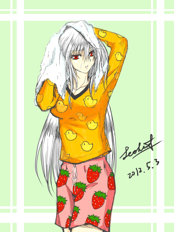 reinforce (lyrical nanoha and 2 more) drawn by leoheart