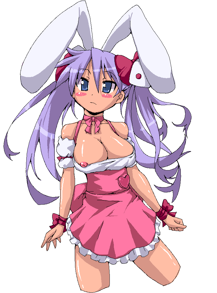 hiiragi kagami and usada hikaru (lucky star and 1 more) drawn by raiden_(raiden_labo)
