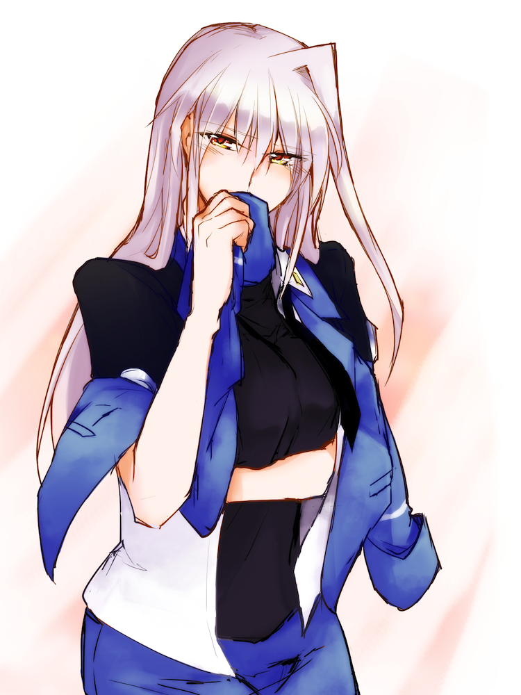 reinforce (lyrical nanoha and 2 more) drawn by kano_penguin