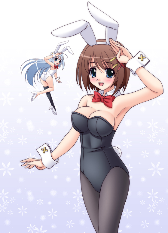 yagami hayate and reinforce zwei (lyrical nanoha and 1 more) drawn by narutaki_shin