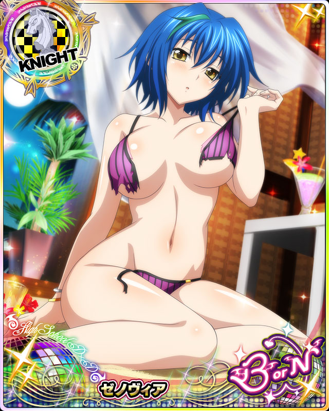 xenovia quarta (high school dxd and 1 more)