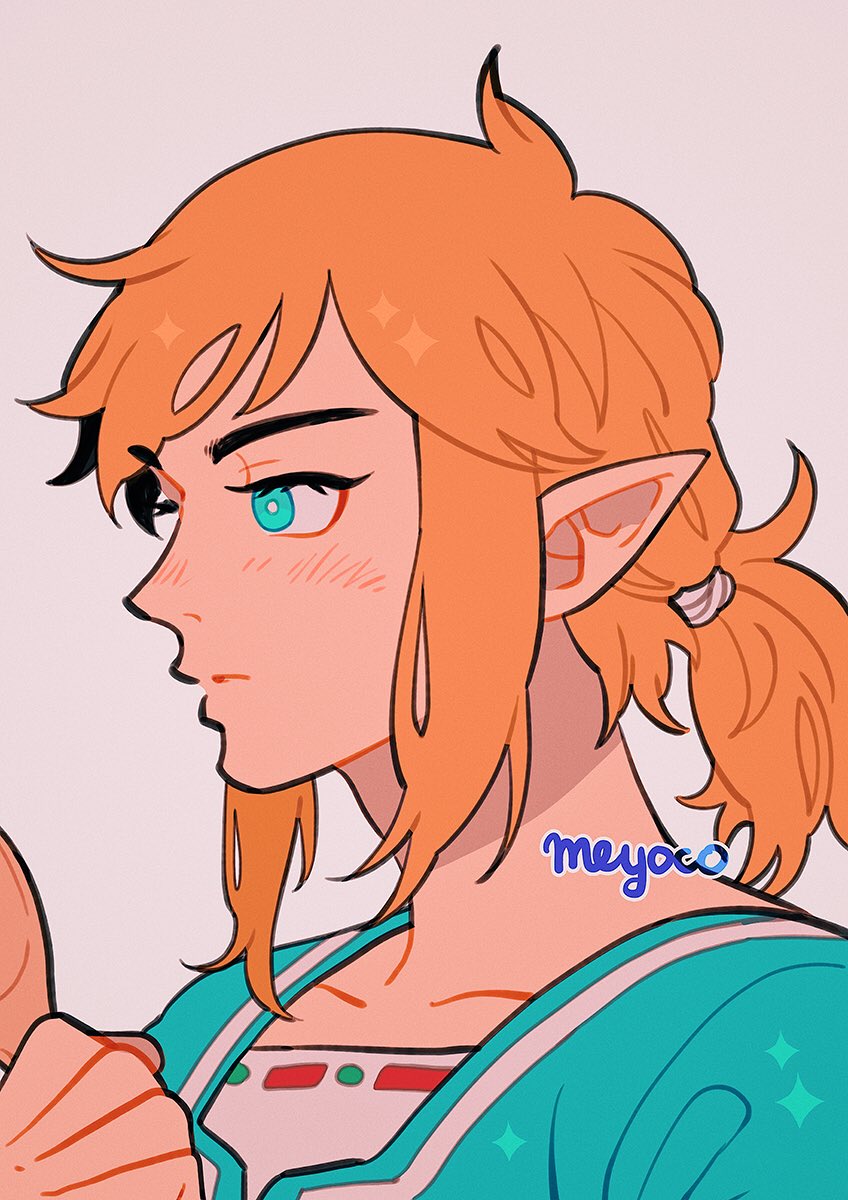 link (the legend of zelda and 1 more) drawn by meyoco