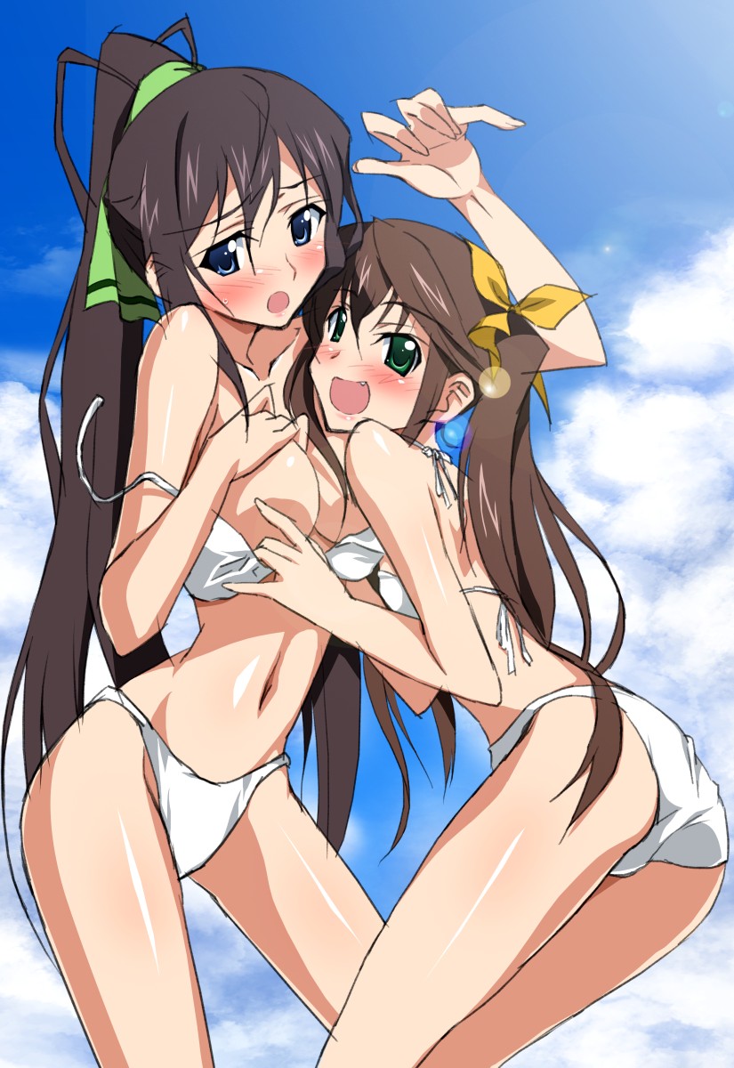 shinonono houki and huang lingyin (infinite stratos) drawn by sanshita