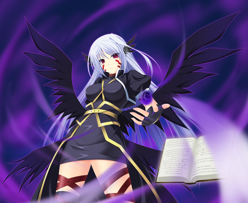 reinforce and tome of the night sky (lyrical nanoha and 2 more) drawn by amicis