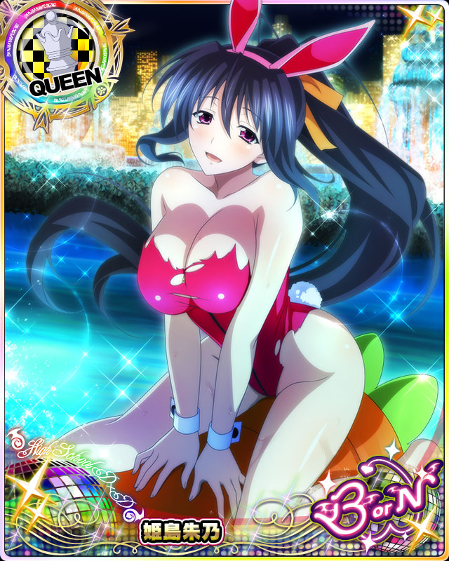 himejima akeno (high school dxd and 1 more)