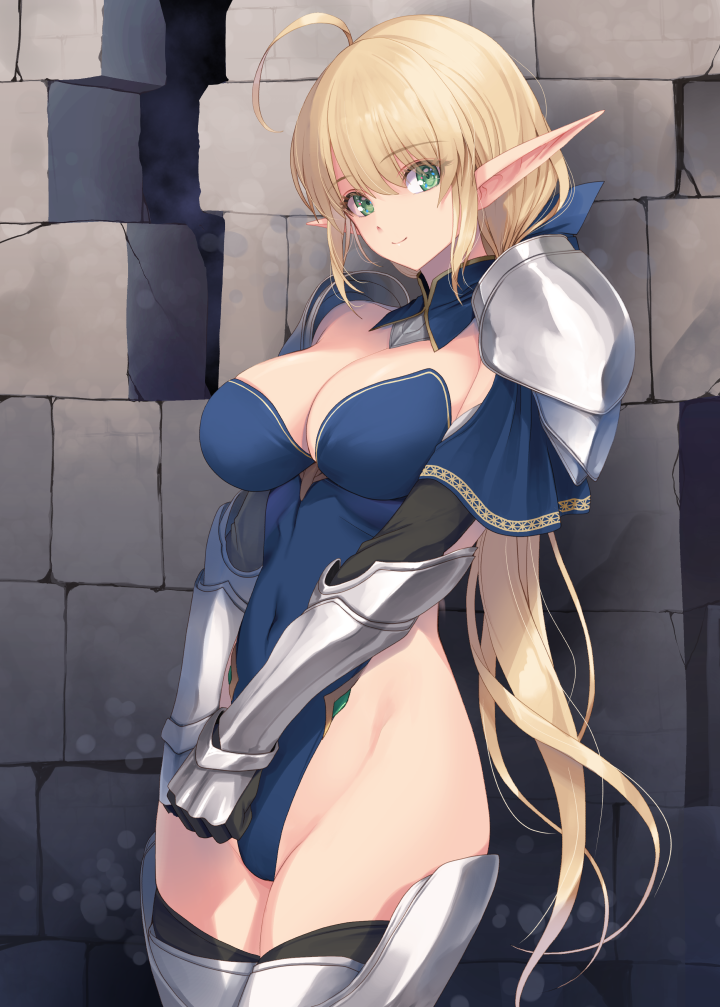 leotard elf knightess (original) drawn by kirishima_satoshi
