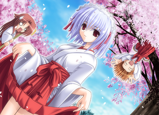 kotonomiya yuki, yamato suzuran, and miyashiro karin (suigetsu) drawn by noritama_(gozen)