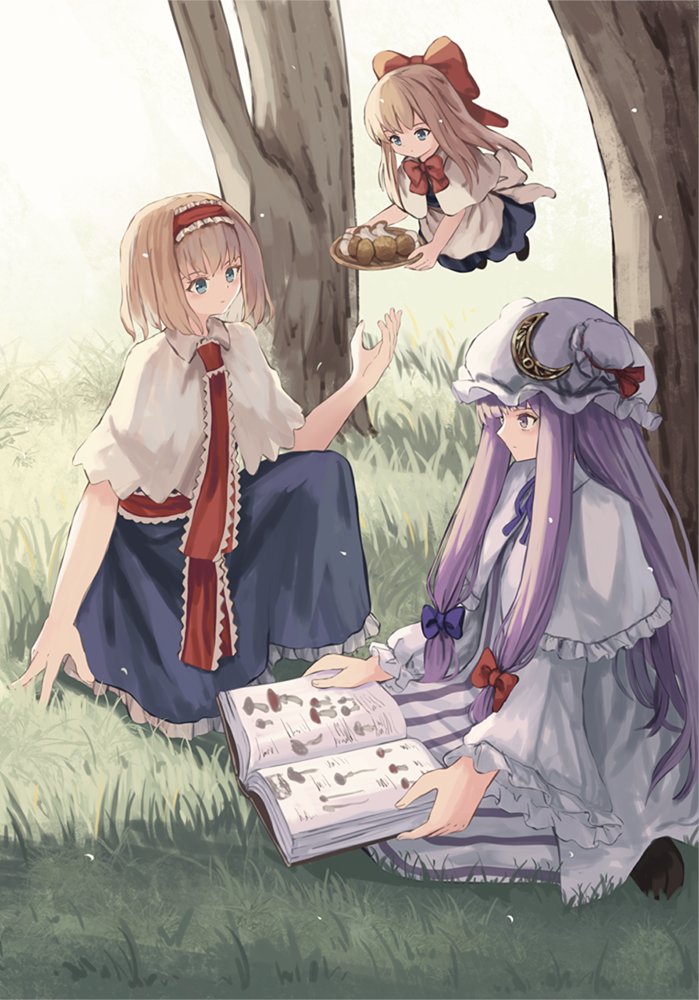 alice margatroid, patchouli knowledge, and shanghai doll (touhou) drawn by ookashippo