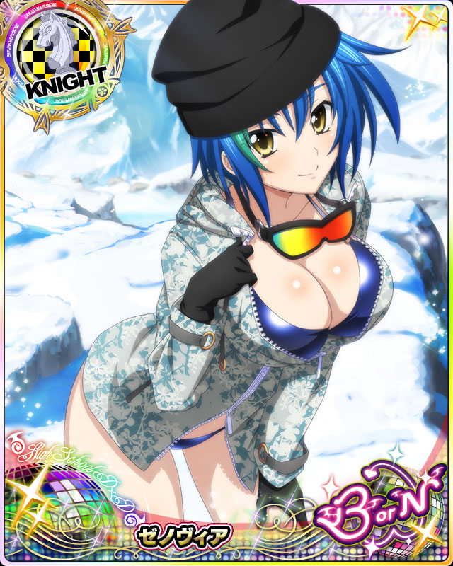 xenovia quarta (high school dxd and 1 more)