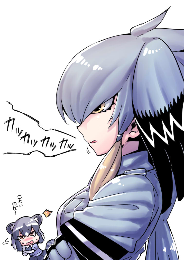 common raccoon and shoebill (kemono friends) drawn by tukiwani
