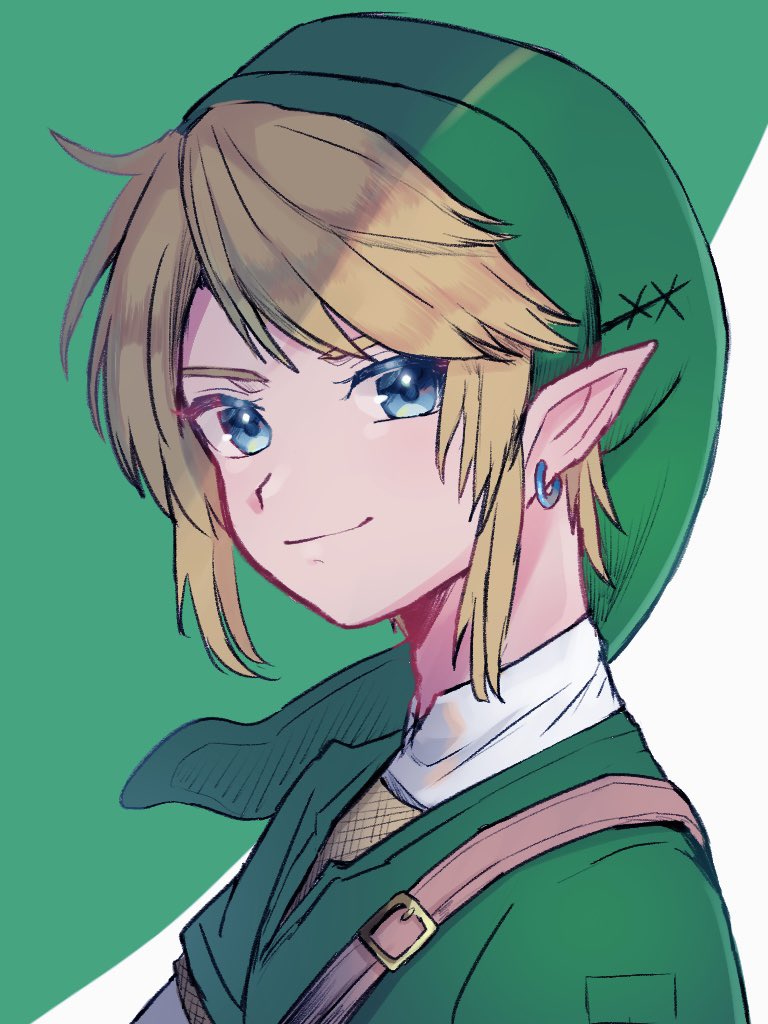 link (the legend of zelda and 1 more) drawn by waffuum