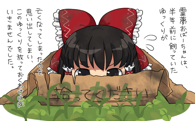 hakurei reimu (touhou) drawn by pentagon_(uzus)