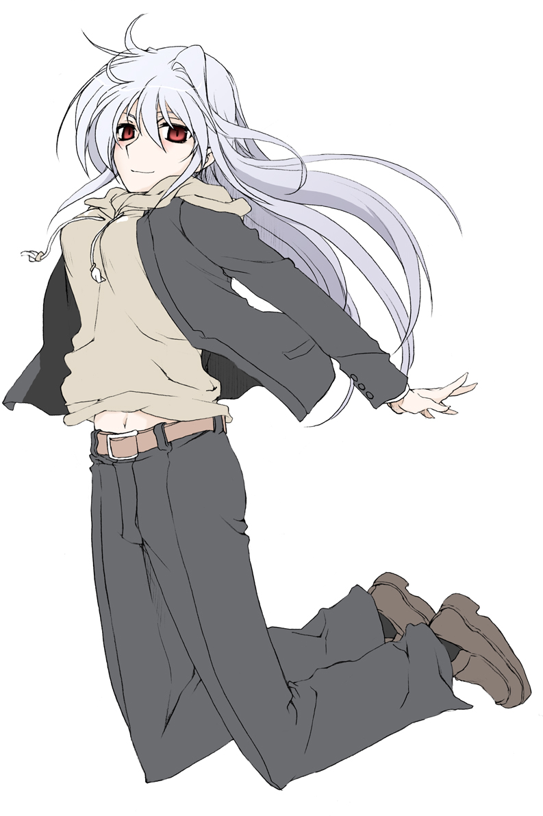 reinforce (lyrical nanoha and 2 more) drawn by elf_(stroll_in_the_woods)