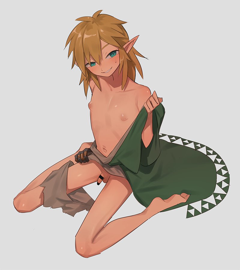 link (the legend of zelda and 1 more) drawn by kokekokeimo