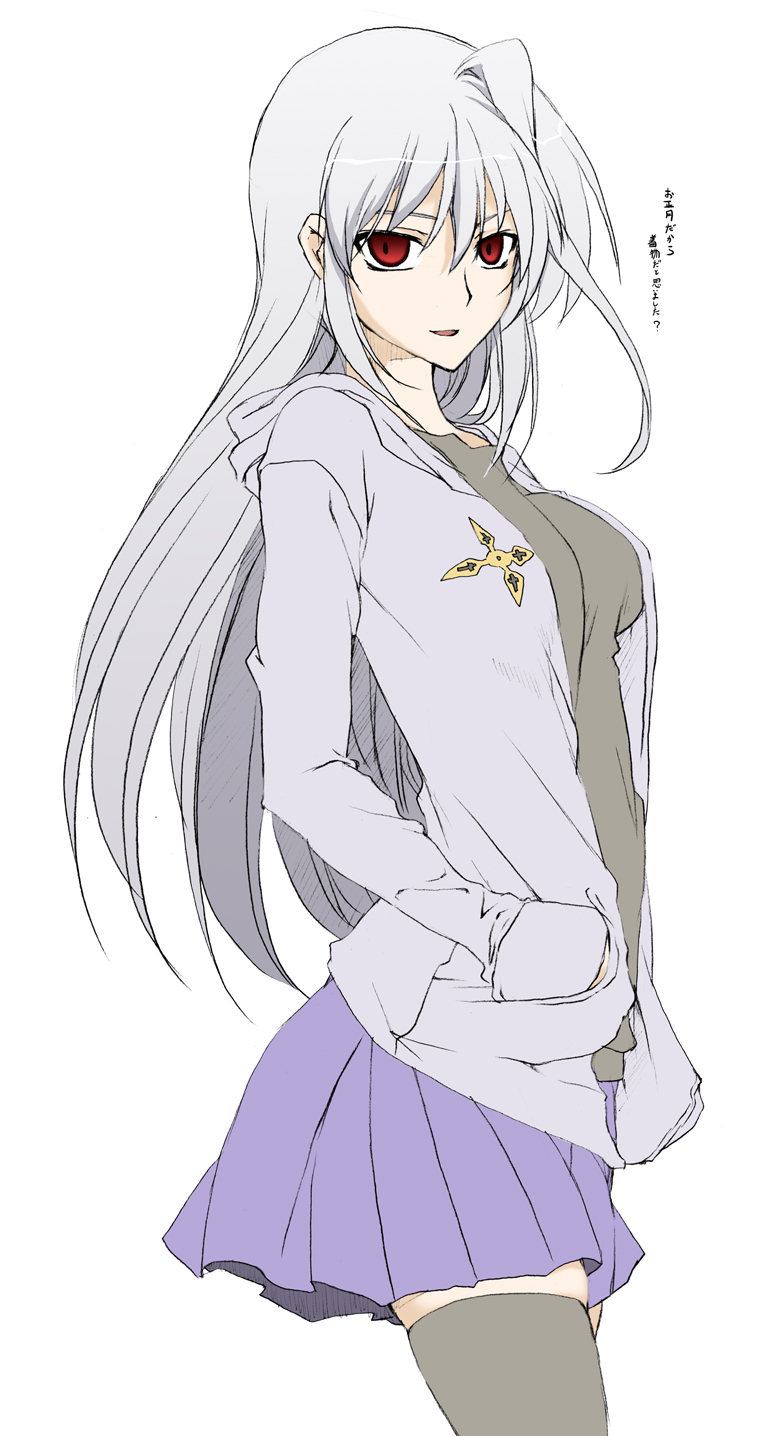 reinforce (lyrical nanoha and 2 more) drawn by elf_(stroll_in_the_woods)