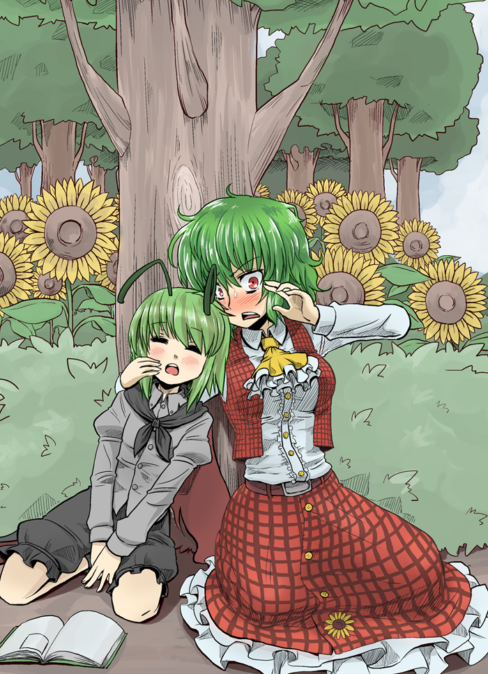 kazami yuuka and wriggle nightbug (touhou) drawn by kujira_lorant
