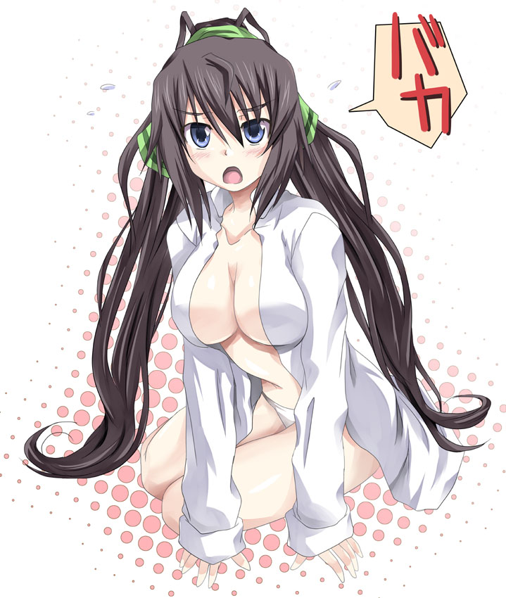 shinonono houki (infinite stratos) drawn by mister_(black_and_white)