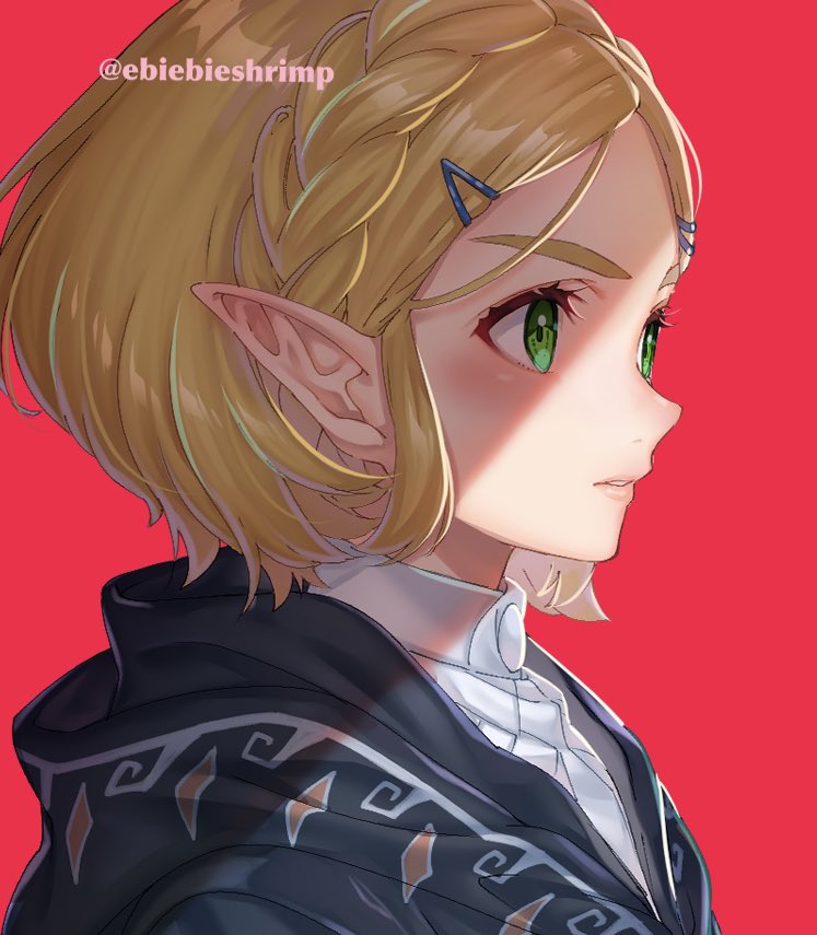 princess zelda (the legend of zelda and 1 more) drawn by shuri_(84k)