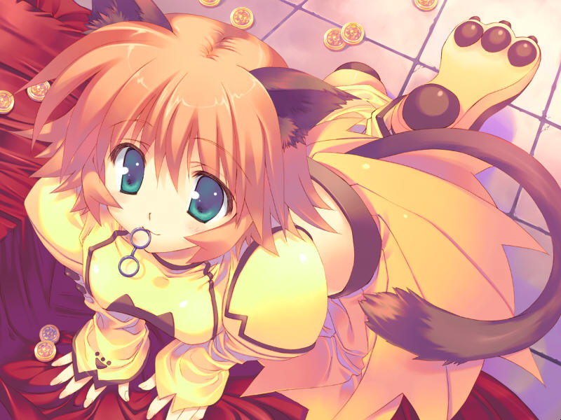 corne coco necoco (fullani) drawn by mitsumi_misato