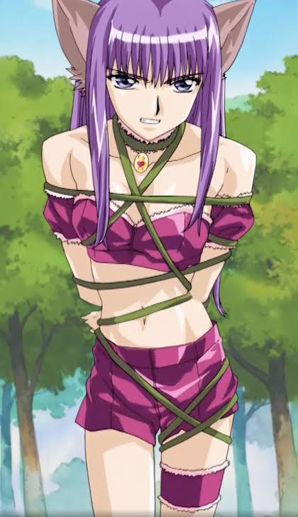 fujiwara zakuro and mew zakuro (tokyo mew mew and 1 more)