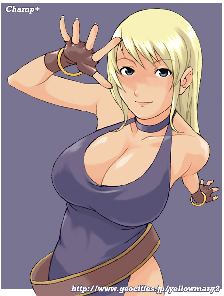 b. jenet (fatal fury and 1 more) drawn by champ+