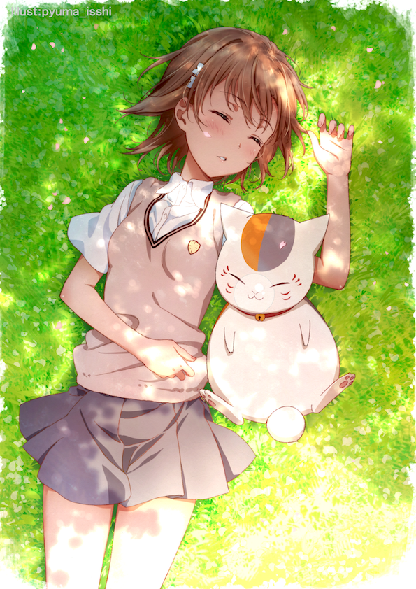 misaka mikoto and nyanko-sensei (toaru majutsu no index and 2 more) drawn by isshi_pyuma