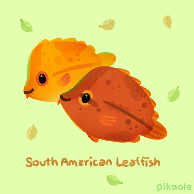 original drawn by pikaole