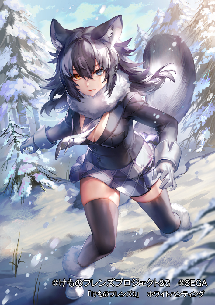 grey wolf (kemono friends and 1 more) drawn by ueo_(ueooo)