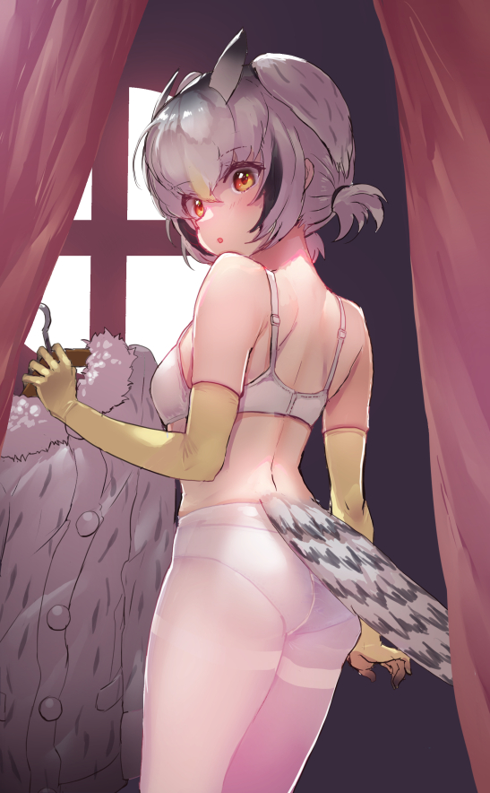 northern white-faced owl (kemono friends) drawn by tadano_magu