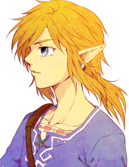 link (the legend of zelda and 1 more) drawn by saiba_(henrietta)