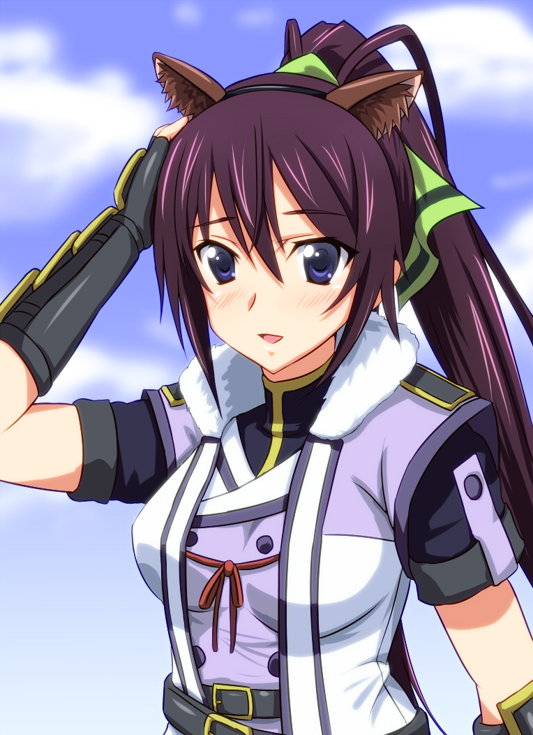 shinonono houki, hikasa youko, and brioche d'arquien (infinite stratos and 1 more) drawn by diesel-turbo