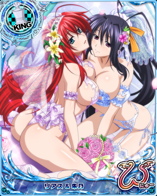 rias gremory and himejima akeno (high school dxd and 1 more)