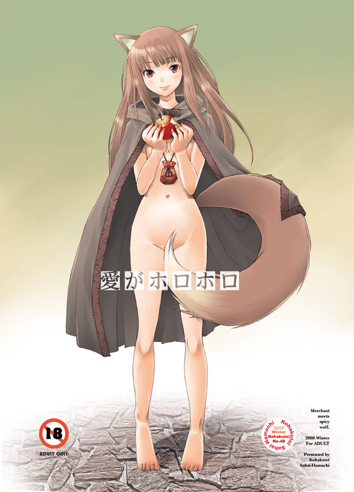 holo (spice and wolf) drawn by sakai_hamachi