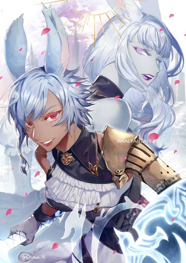 warrior of light and paladin (final fantasy and 1 more) drawn by panon_14
