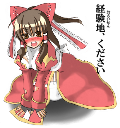 hakurei reimu and high priest (touhou and 1 more)