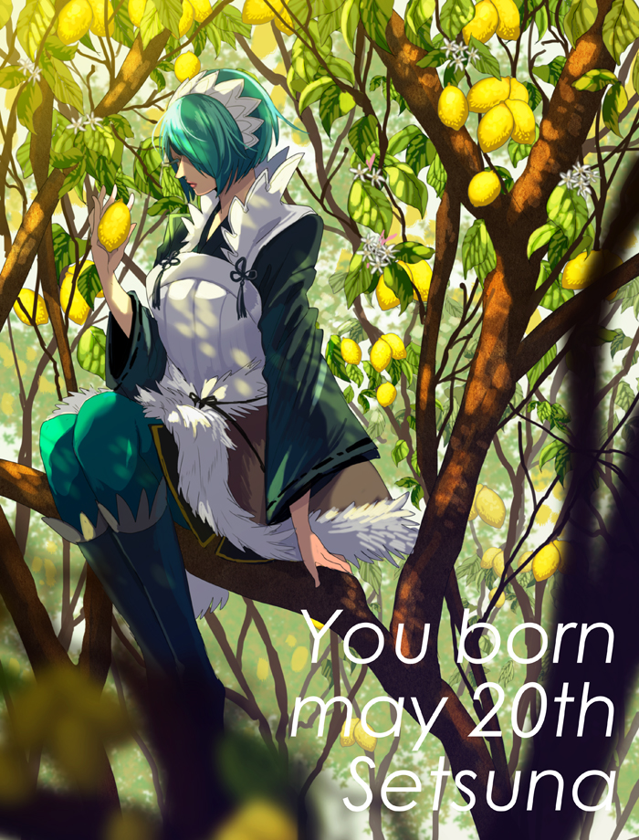 setsuna (fire emblem and 1 more) drawn by tsuko_(25mnts)