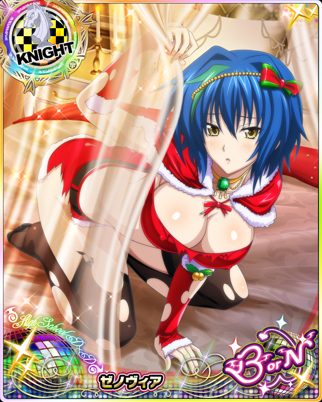 xenovia quarta (high school dxd and 1 more)