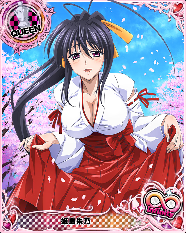 himejima akeno (high school dxd and 1 more)