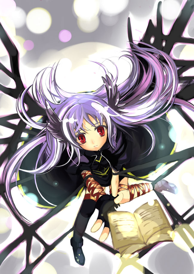reinforce and tome of the night sky (lyrical nanoha and 2 more) drawn by yu_yu
