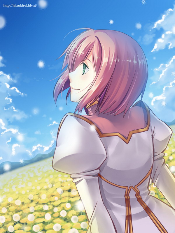 estellise sidos heurassein (tales of and 1 more) drawn by hitsuki_rei