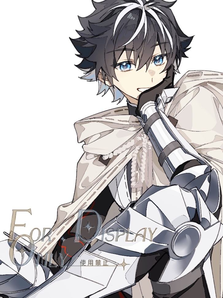 charlemagne (fate and 1 more) drawn by idass_(idass16)