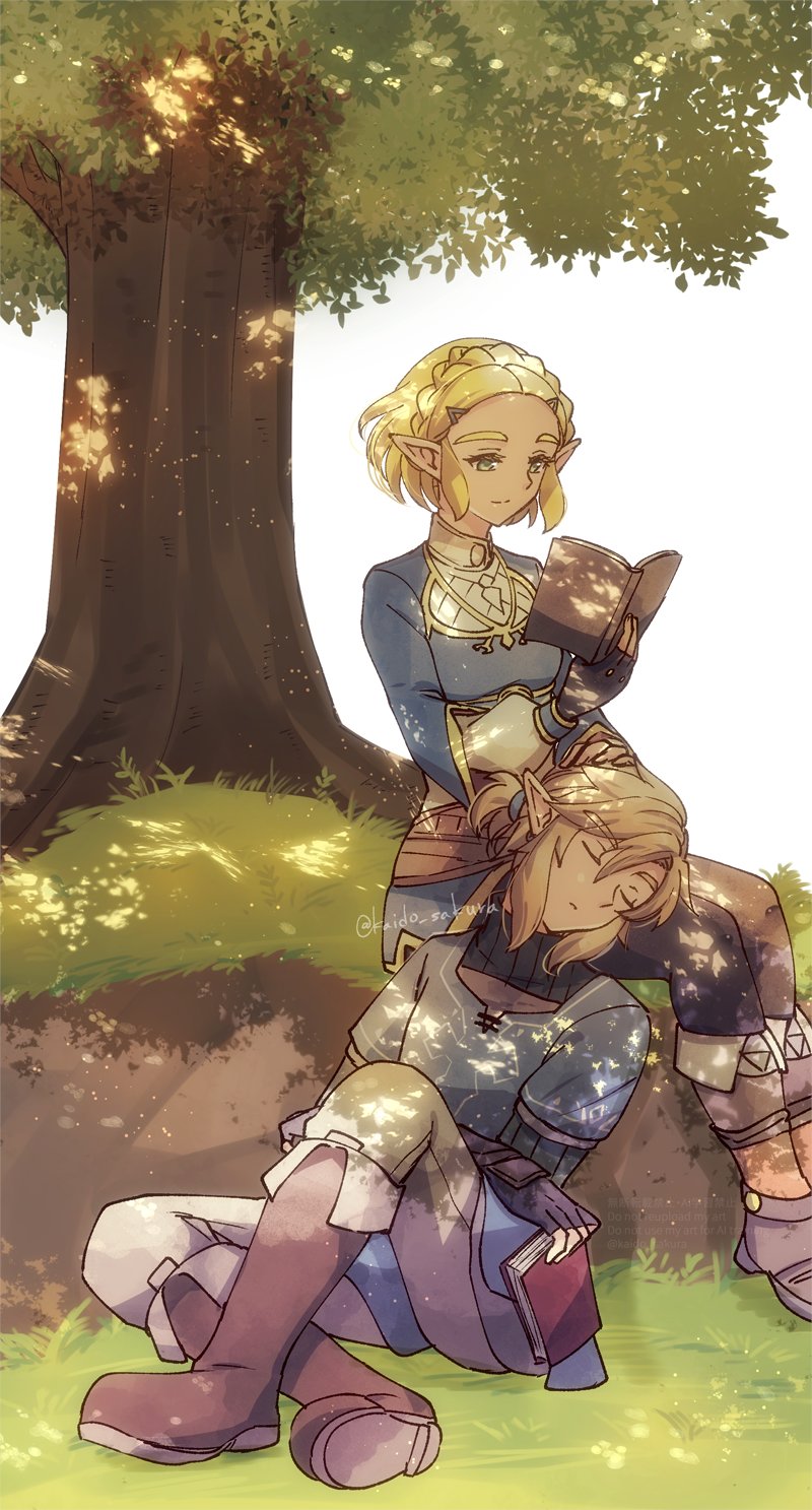 link and princess zelda (the legend of zelda and 1 more) drawn by kaidou_mitsuki