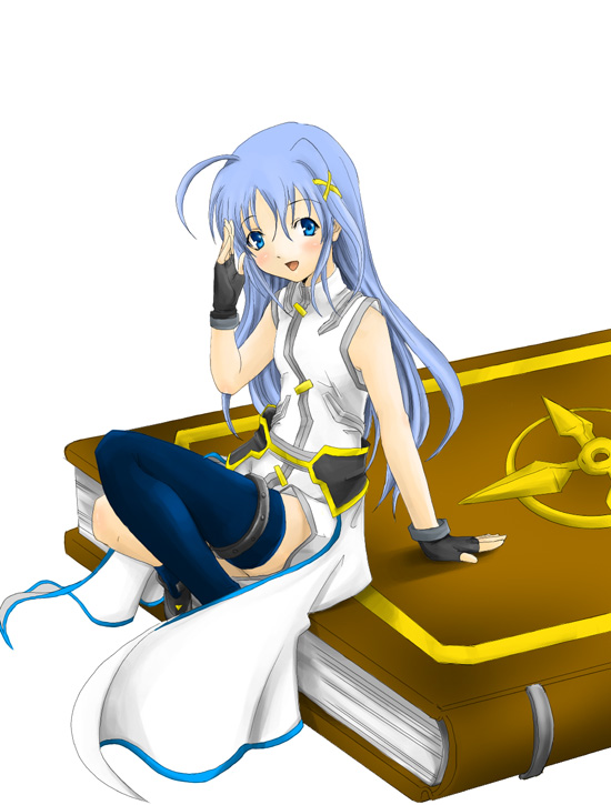 reinforce zwei and tome of the night sky (lyrical nanoha and 1 more) drawn by aona_(anagasaki)
