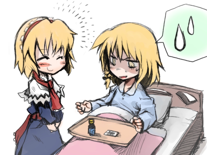 kirisame marisa and alice margatroid (touhou) drawn by morino_hon