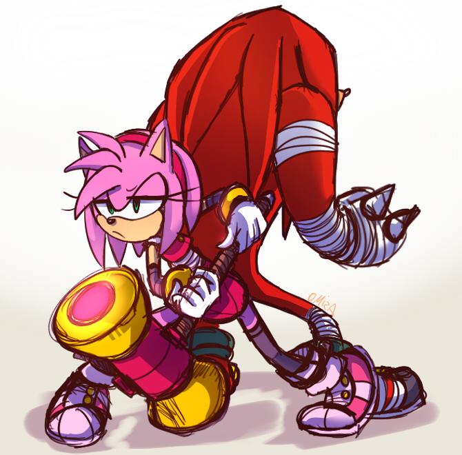 amy rose and knuckles the echidna (sonic and 1 more)