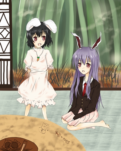 reisen udongein inaba and inaba tewi (touhou) drawn by hane_riu
