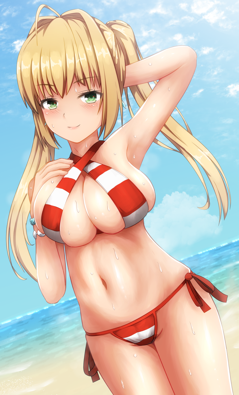 nero claudius (fate and 1 more) drawn by silver_bullet_(ecc12_8)
