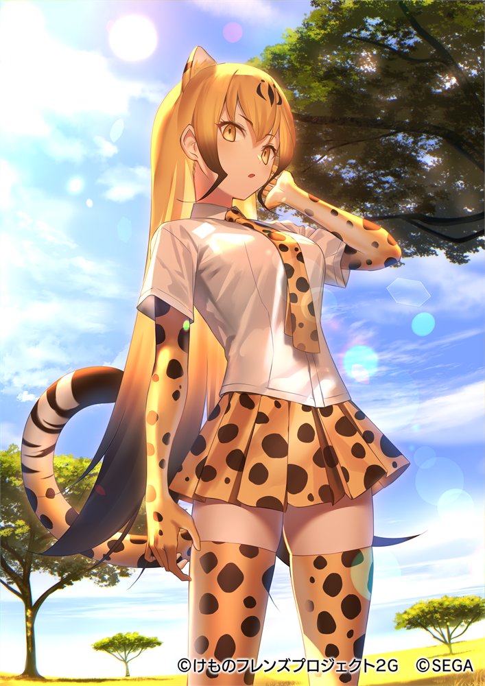 cheetah (kemono friends and 2 more) drawn by mashima_saki_(mashimasa)