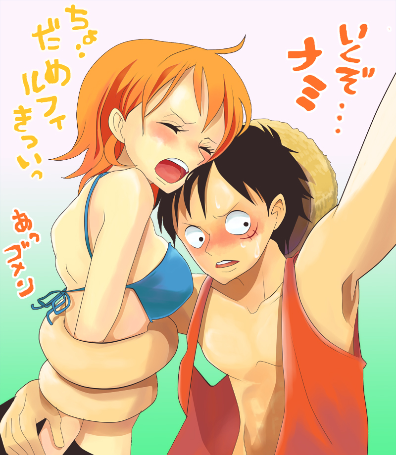 nami and monkey d. luffy (one piece) drawn by himerinco