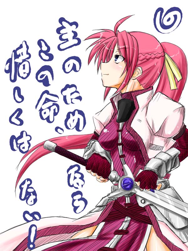 signum and laevatein (lyrical nanoha and 2 more) drawn by boshinote